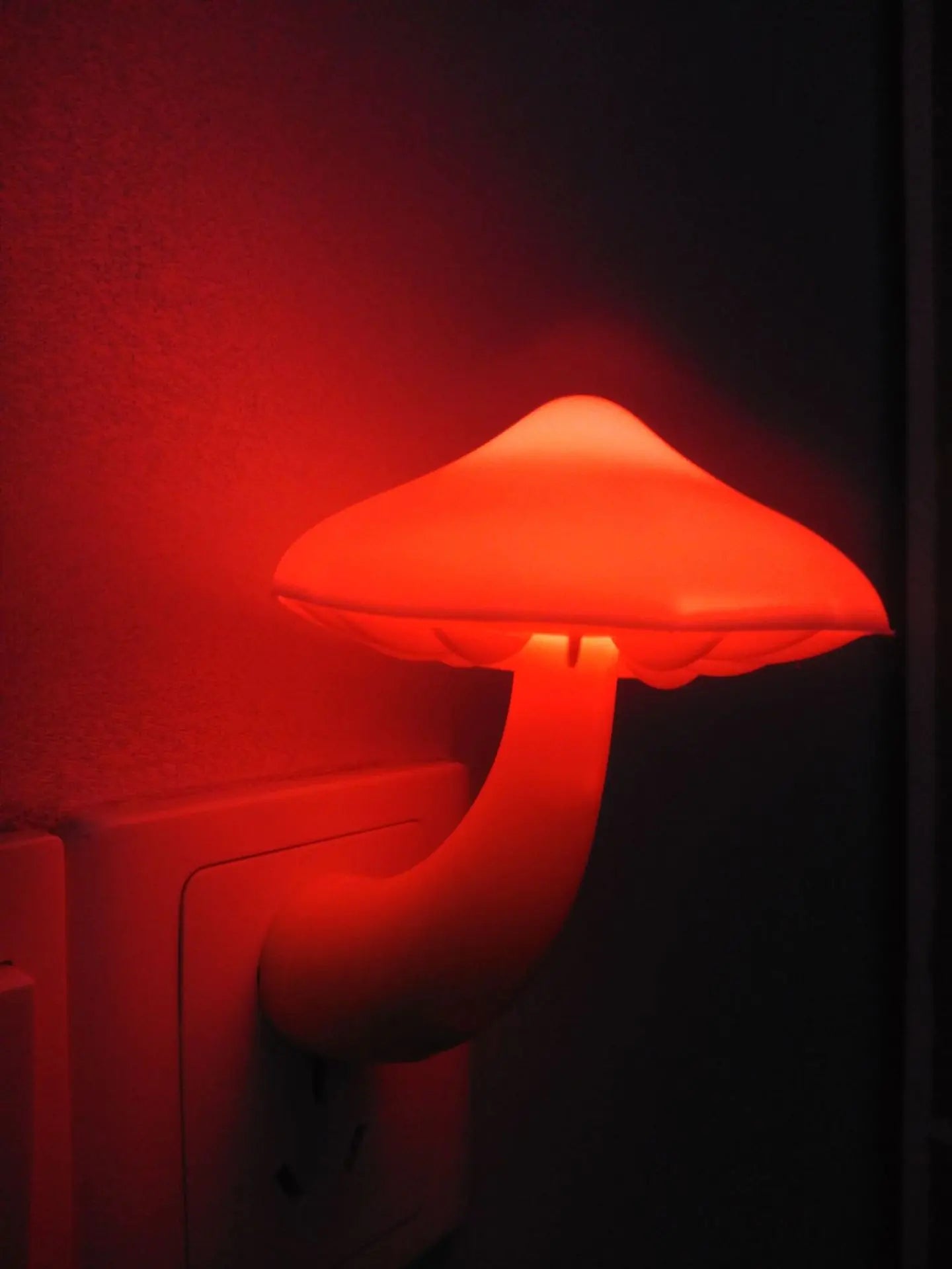 Murphy the Mushroom Night Light 🍄