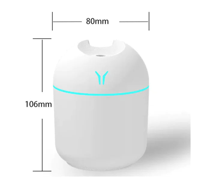 Mallory the Mini Diffuser 🤏