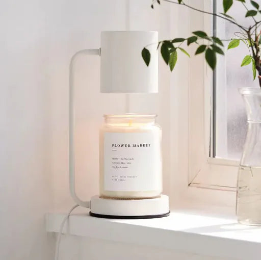 Brighton the Scent Lamp 💡