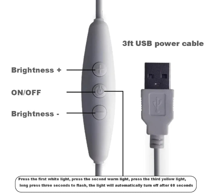 Sebastian the Spiral Table Lamp 𖦹