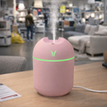 Mallory the Mini Diffuser 🤏